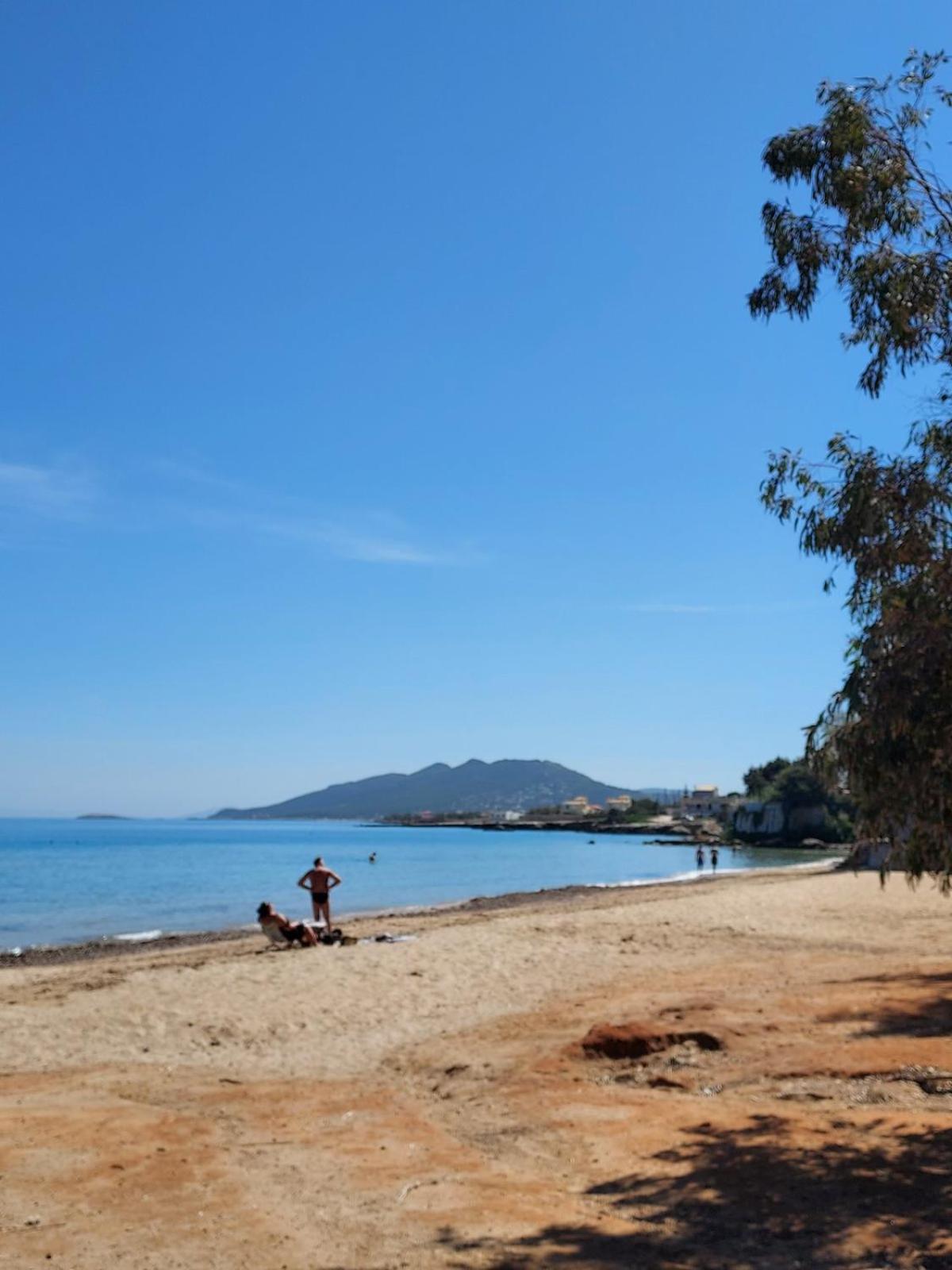 Oikika I 6 Διαμέρισμα Αρτέμιδα Εξωτερικό φωτογραφία